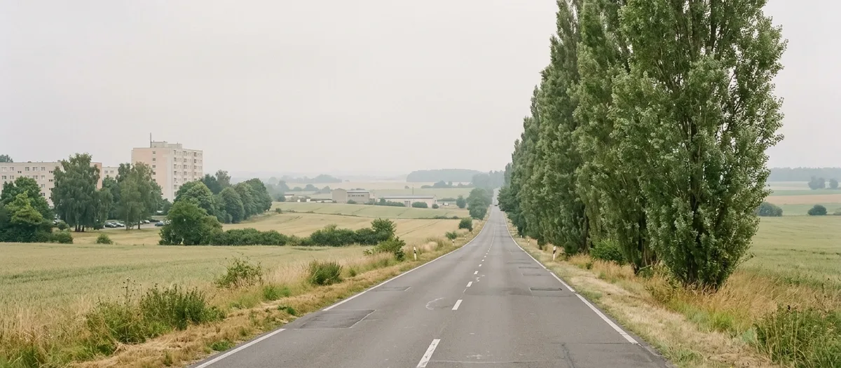 Gerade Landstraße durch Ackerland mit einer Pappelreihe an der rechten Seite